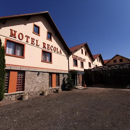 International Recola Motel Băneşti Buitenkant foto